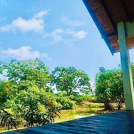 Thihawa Eco Huts Yala Tissamaharama Exterior foto