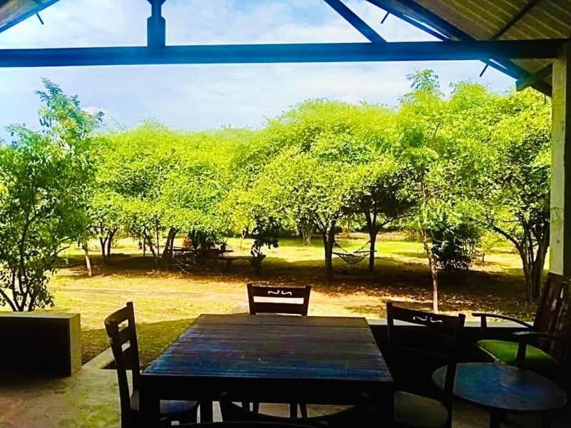 Thihawa Eco Huts Yala Tissamaharama Exterior foto