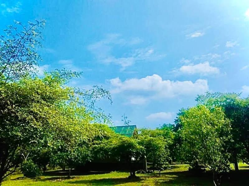 Thihawa Eco Huts Yala Tissamaharama Exterior foto