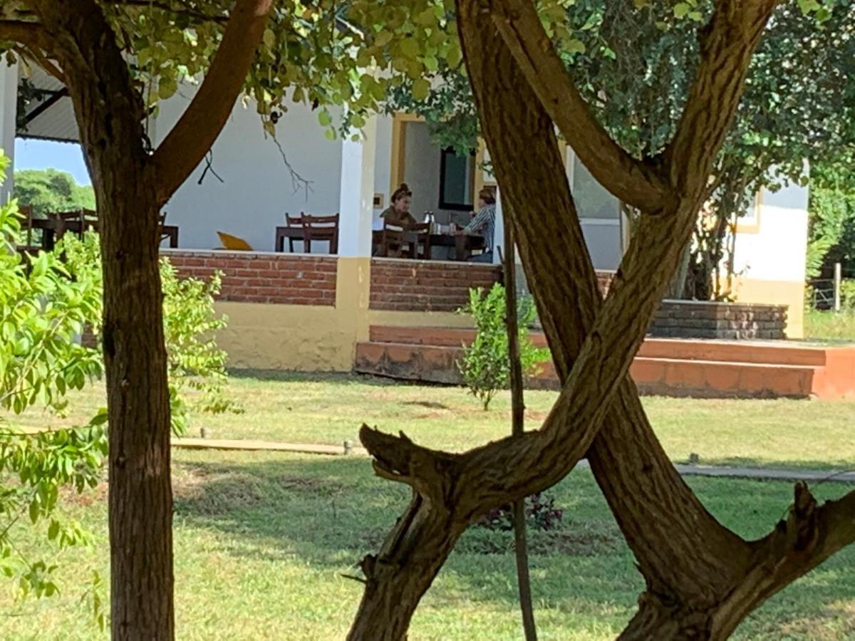 Thihawa Eco Huts Yala Tissamaharama Exterior foto