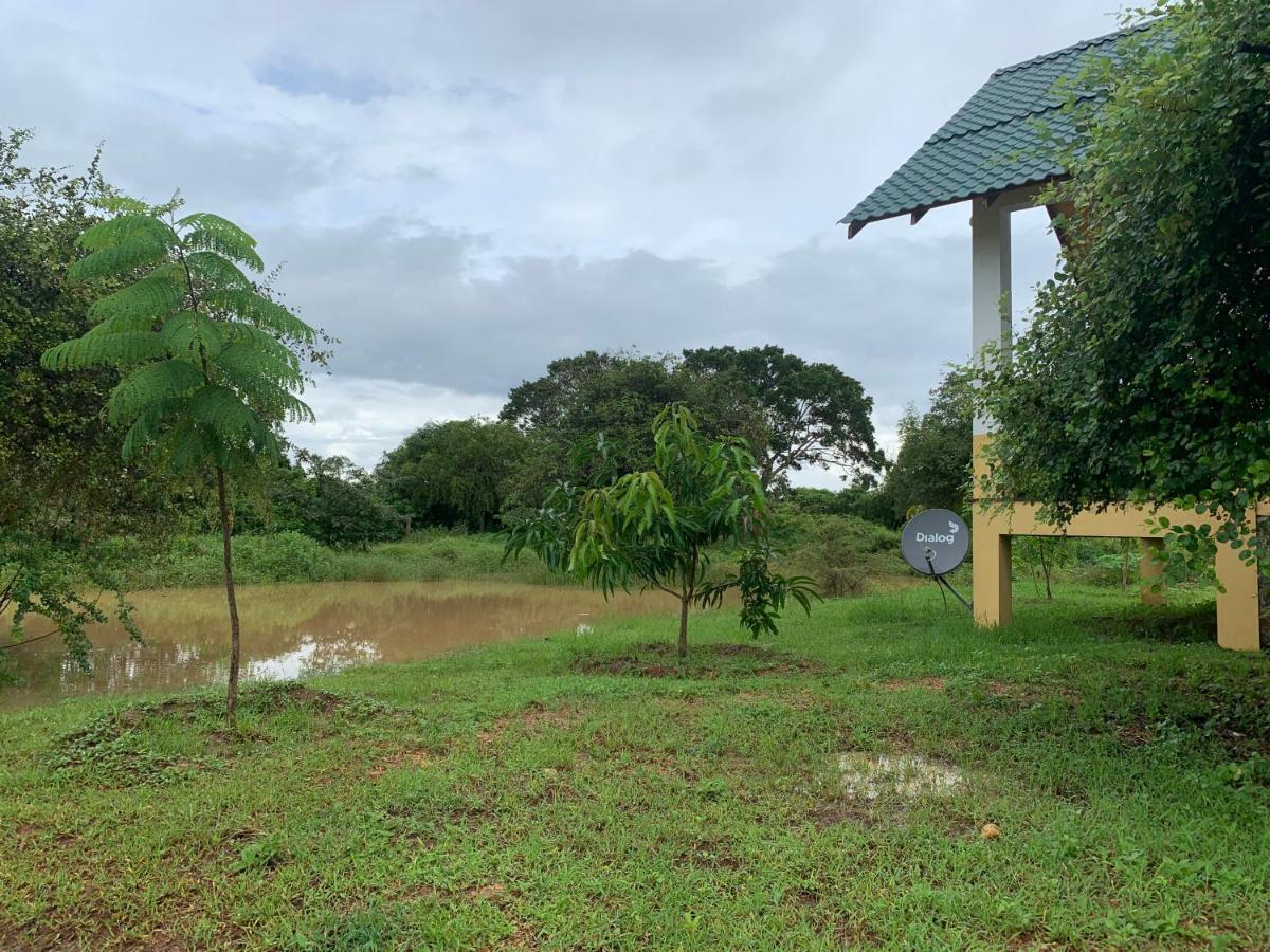Thihawa Eco Huts Yala Tissamaharama Exterior foto
